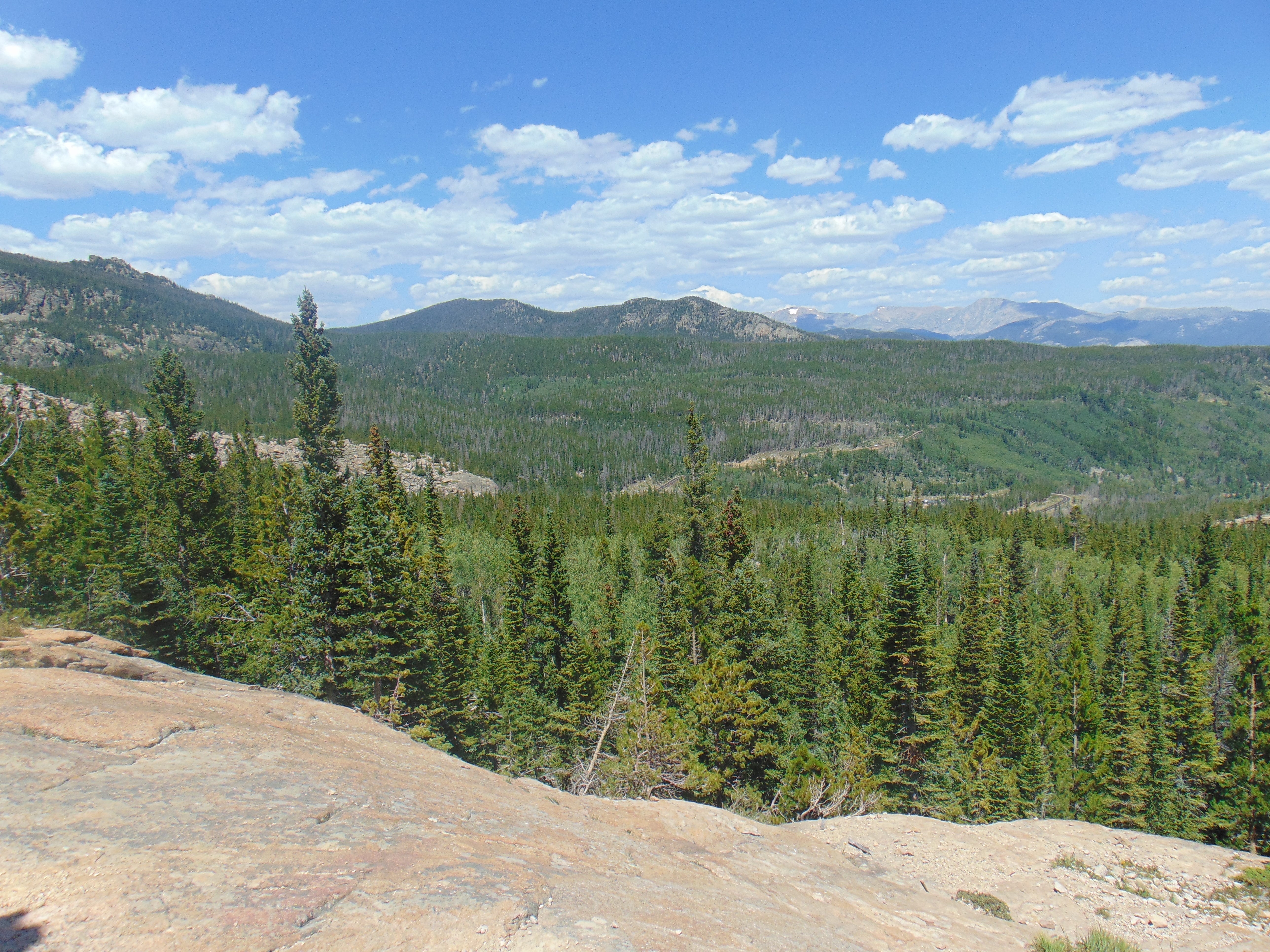 Road Trip Week 2: Rocky Mountain National Park; Jackson, Wyoming and ...