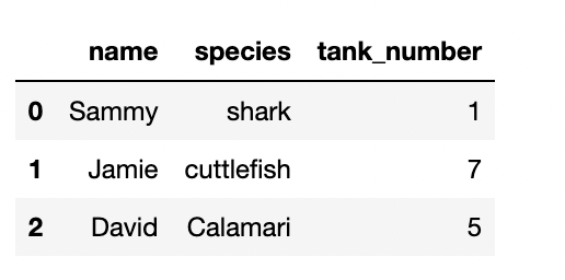 Output obtained from read_sql_query() with fish table as Pandas dataframe. Image by the author. Data Ingestion in Python Pandas.