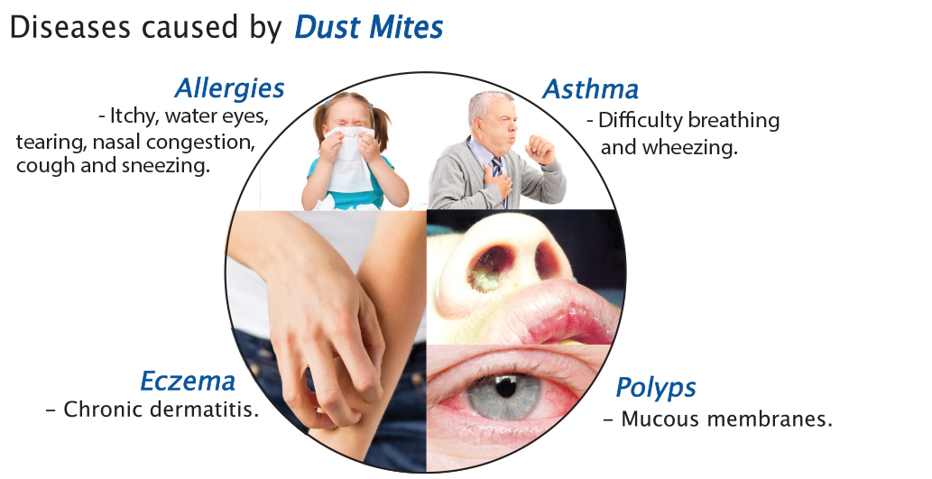 do air purifiers remove dust