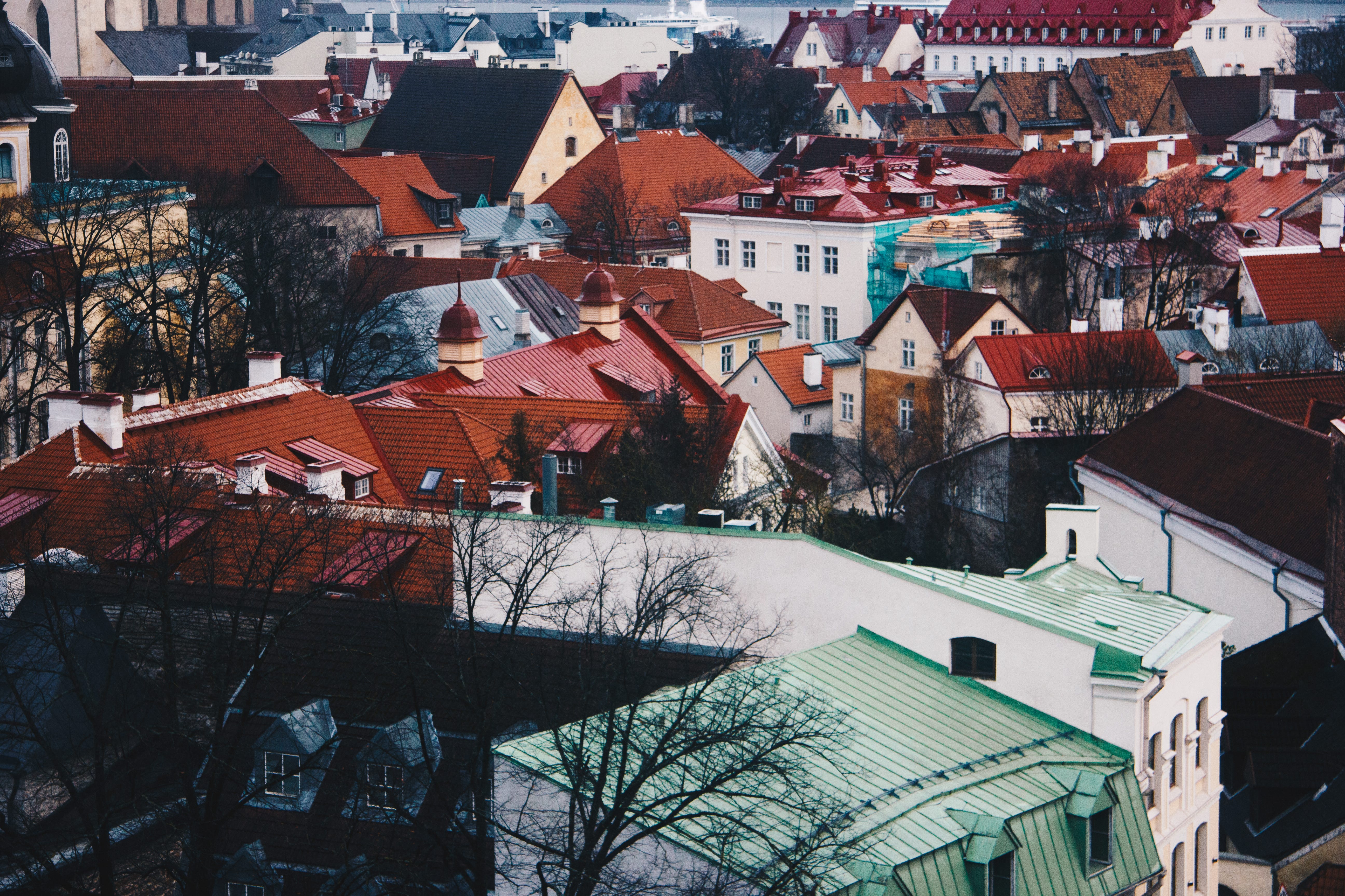 Relocating To Tallinn Estonia Ni Luh Putu K Medium