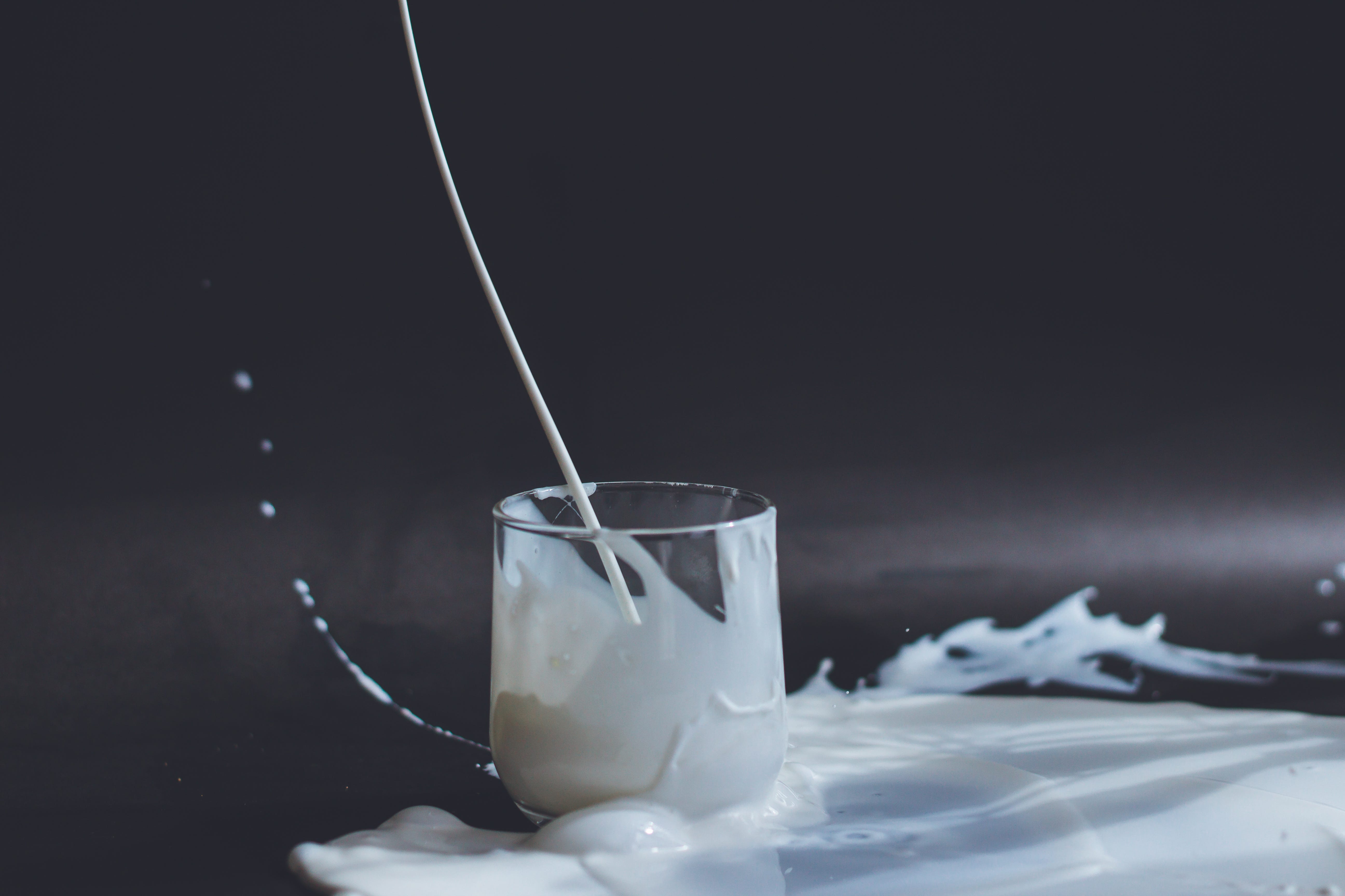Loose Words Letter 45 Spilt Milk By Jonathan Greene Loose Words Feb 21 Medium