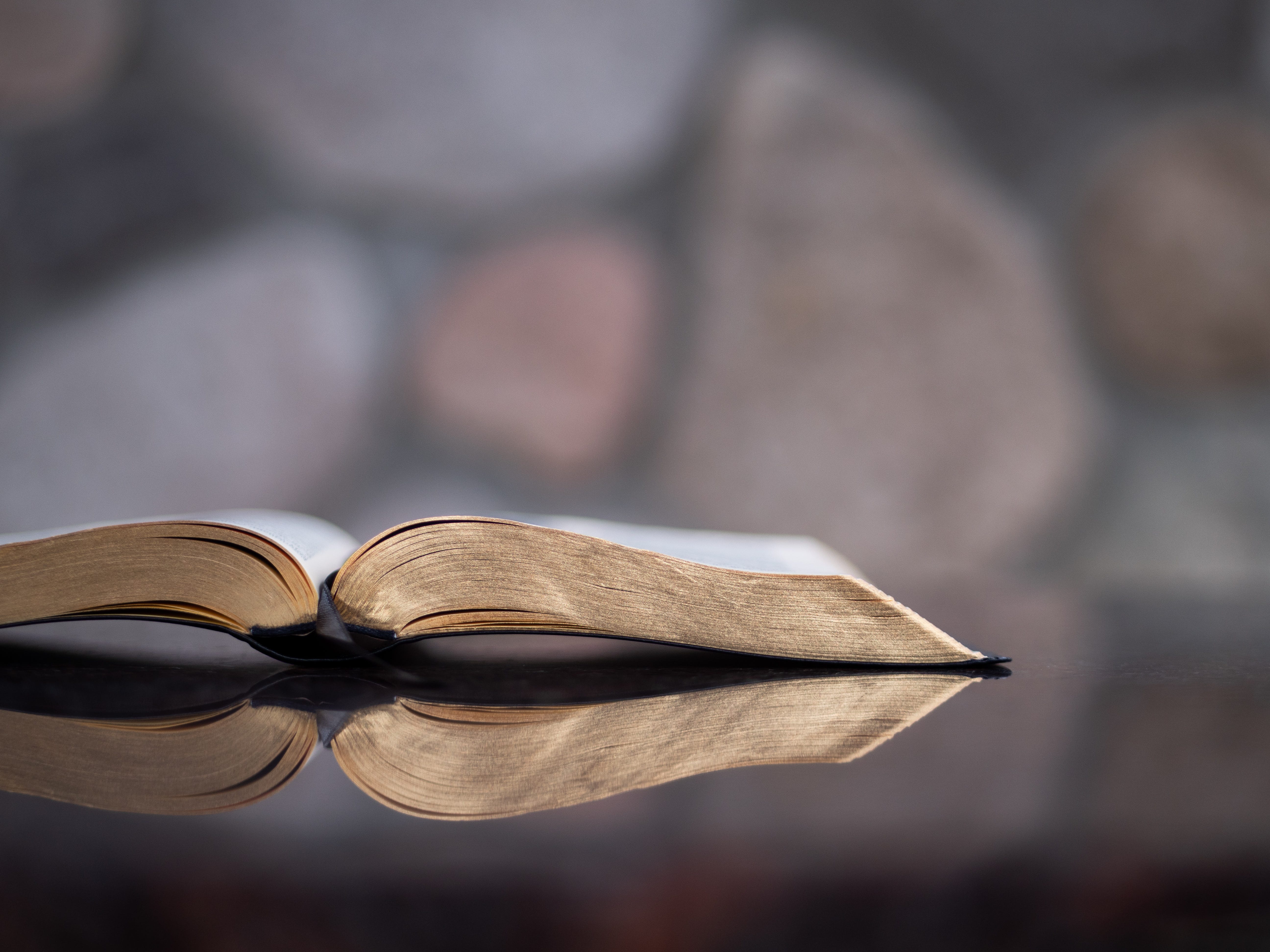 31 Powerful Lessons From The Book Of Proverbs Pursuing
