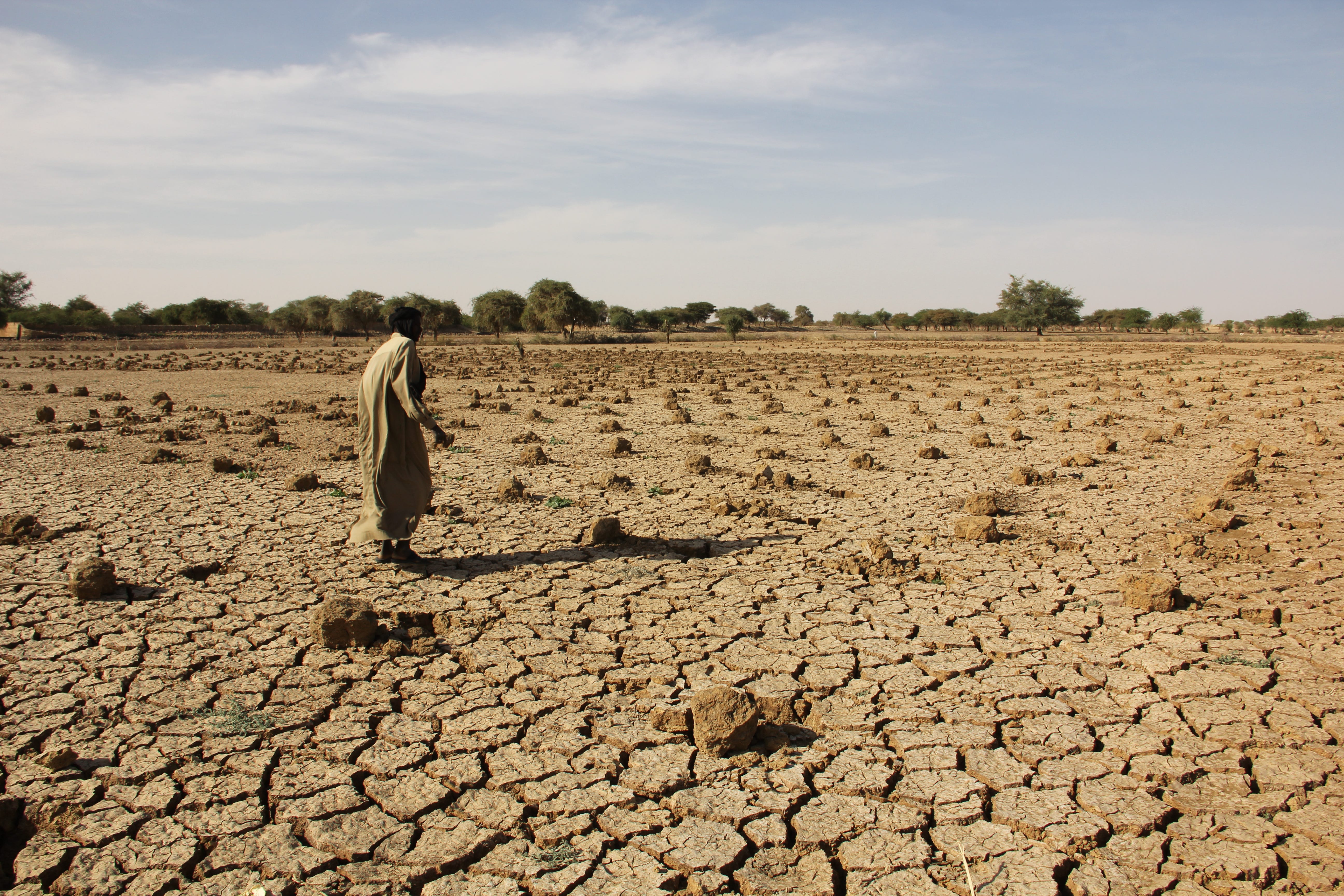 Zero Hunger In A Warming World World Food Programme Insight - 