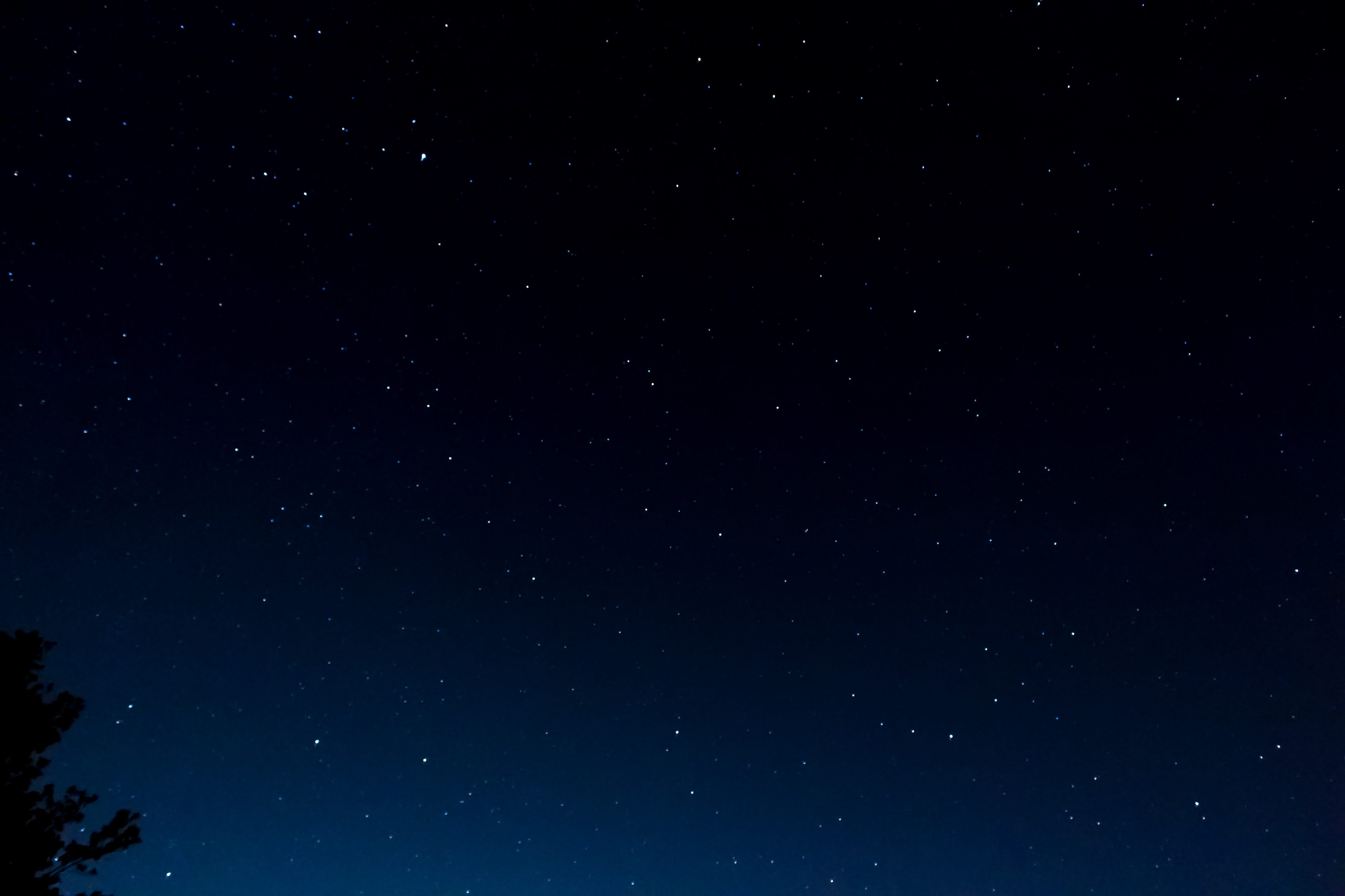 our generation opening night