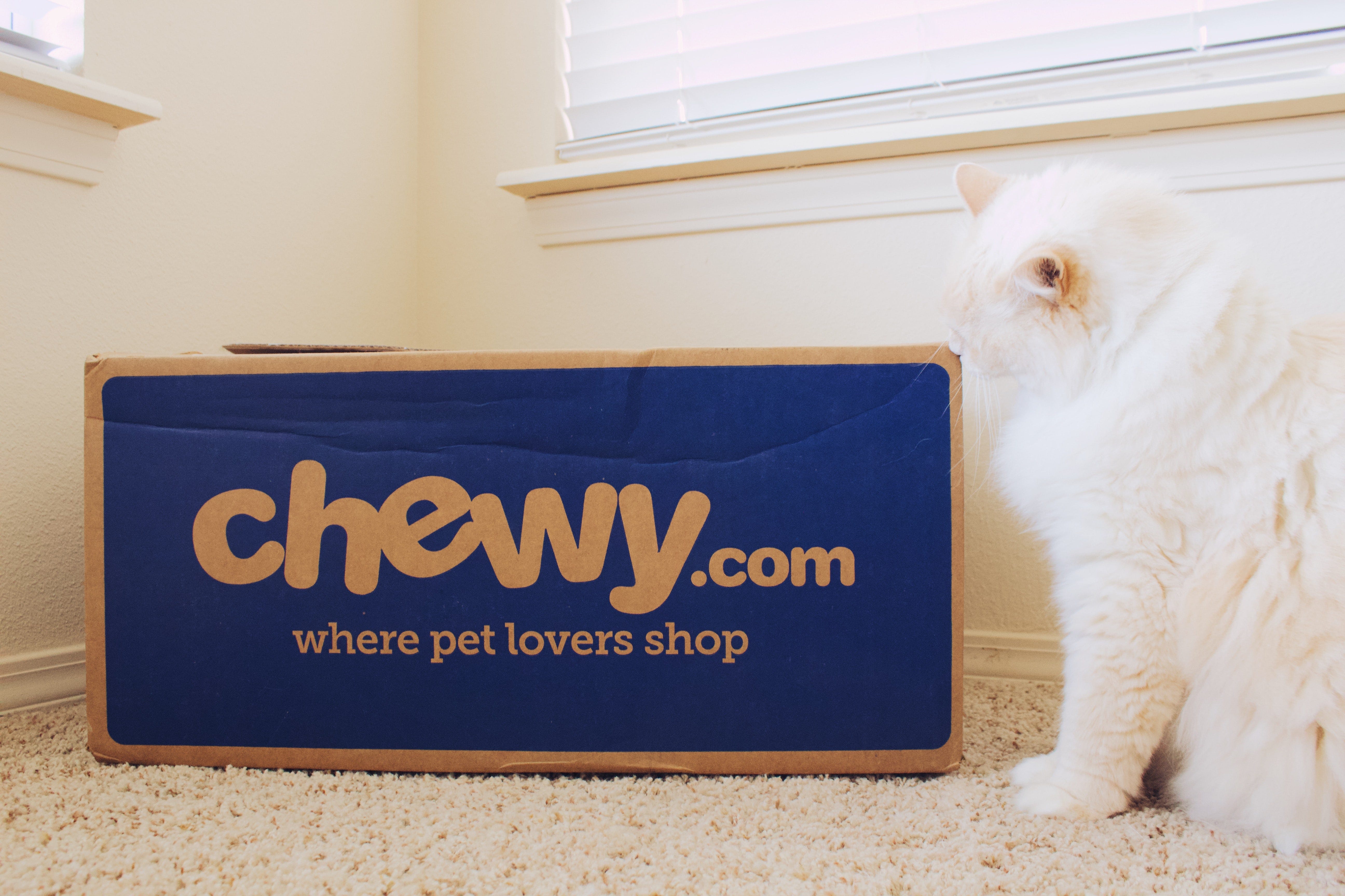 Chewy posted strong revenue as online pet food demand increases by