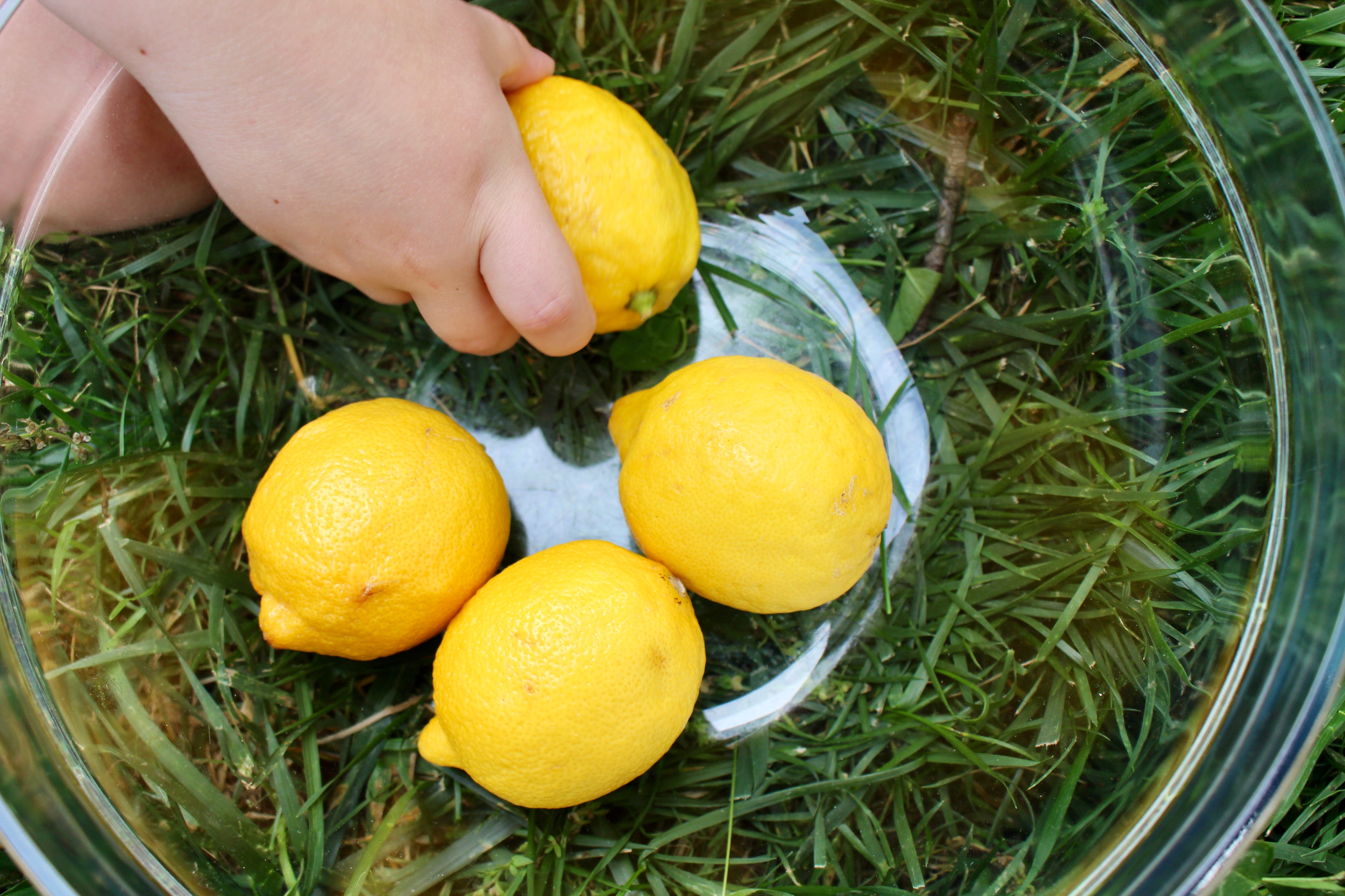 pretend lemonade stand