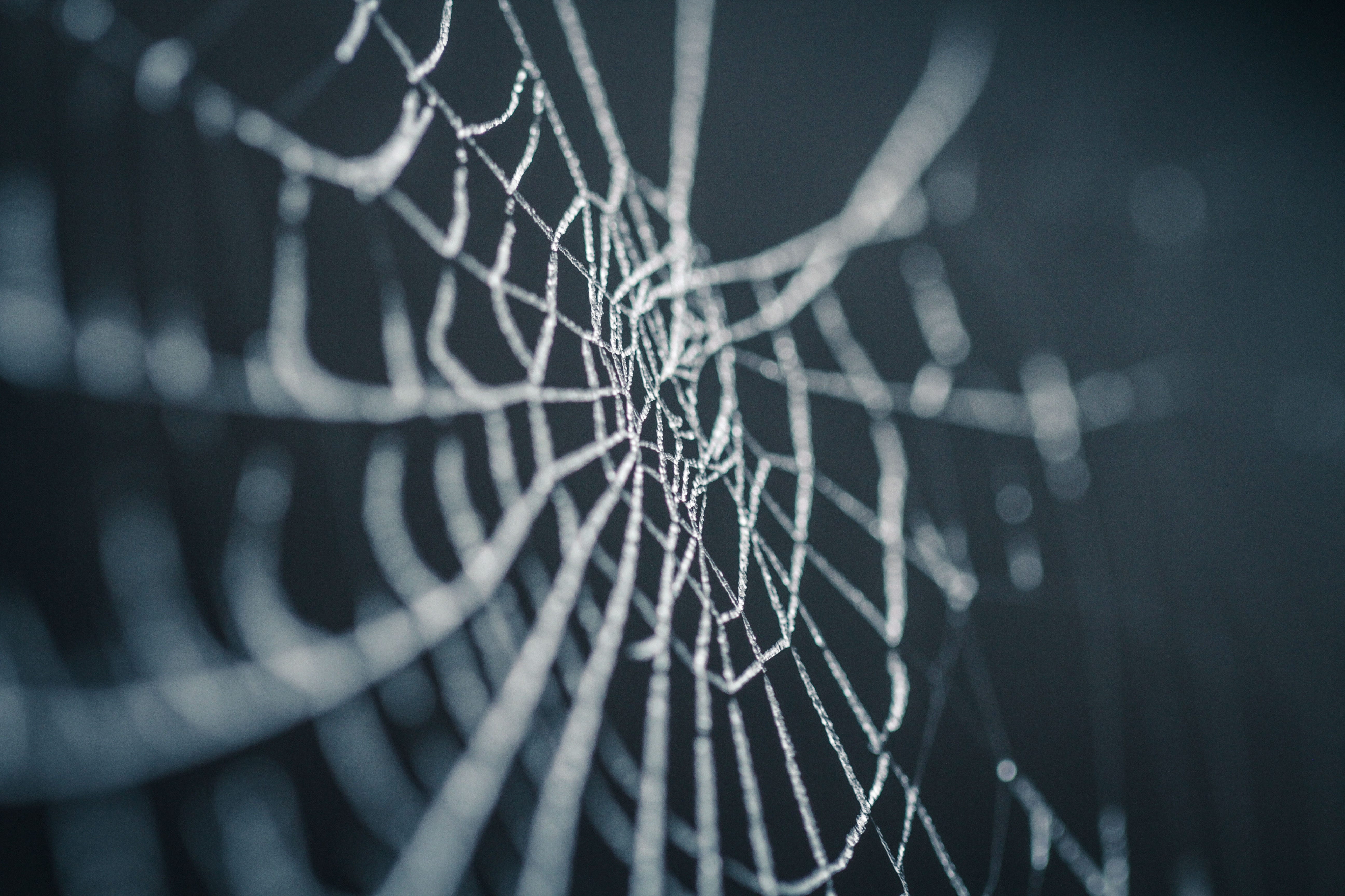 Web Scrapping With R Web Scrapping With R