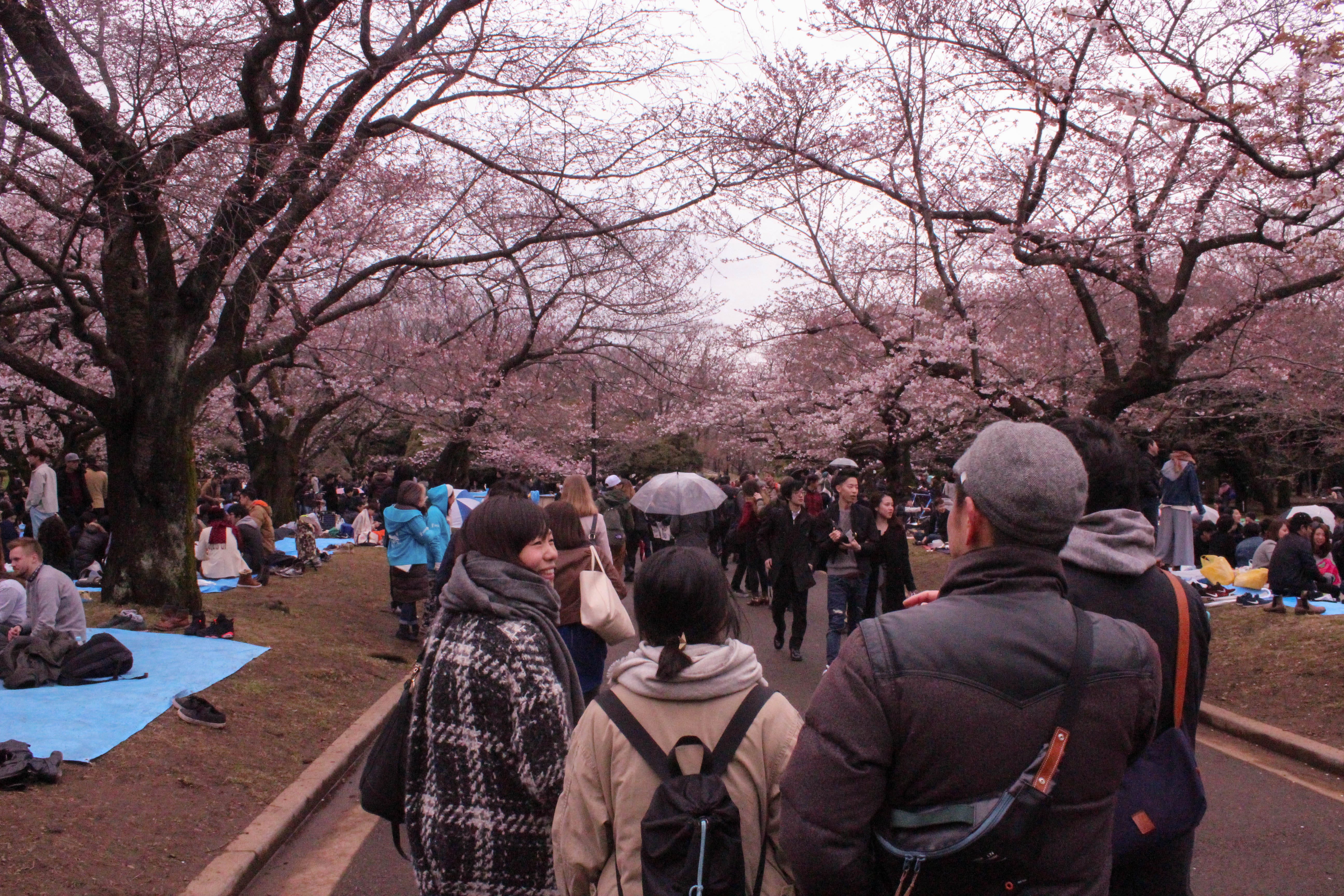 Places To Visit In Japan In 2017 David Jiang Medium - 