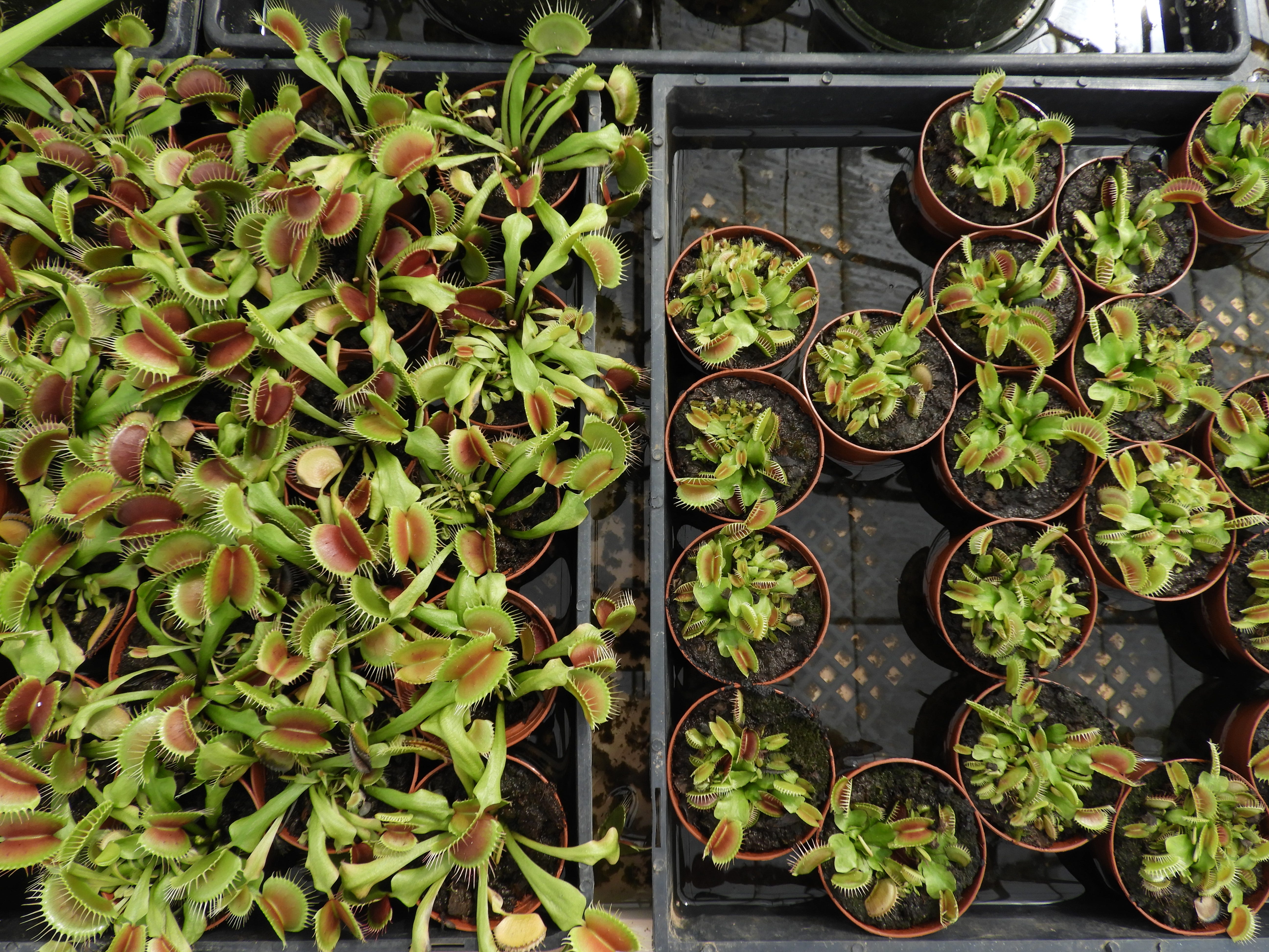 Take a break from the Coronaverse via a tour of Half Moon