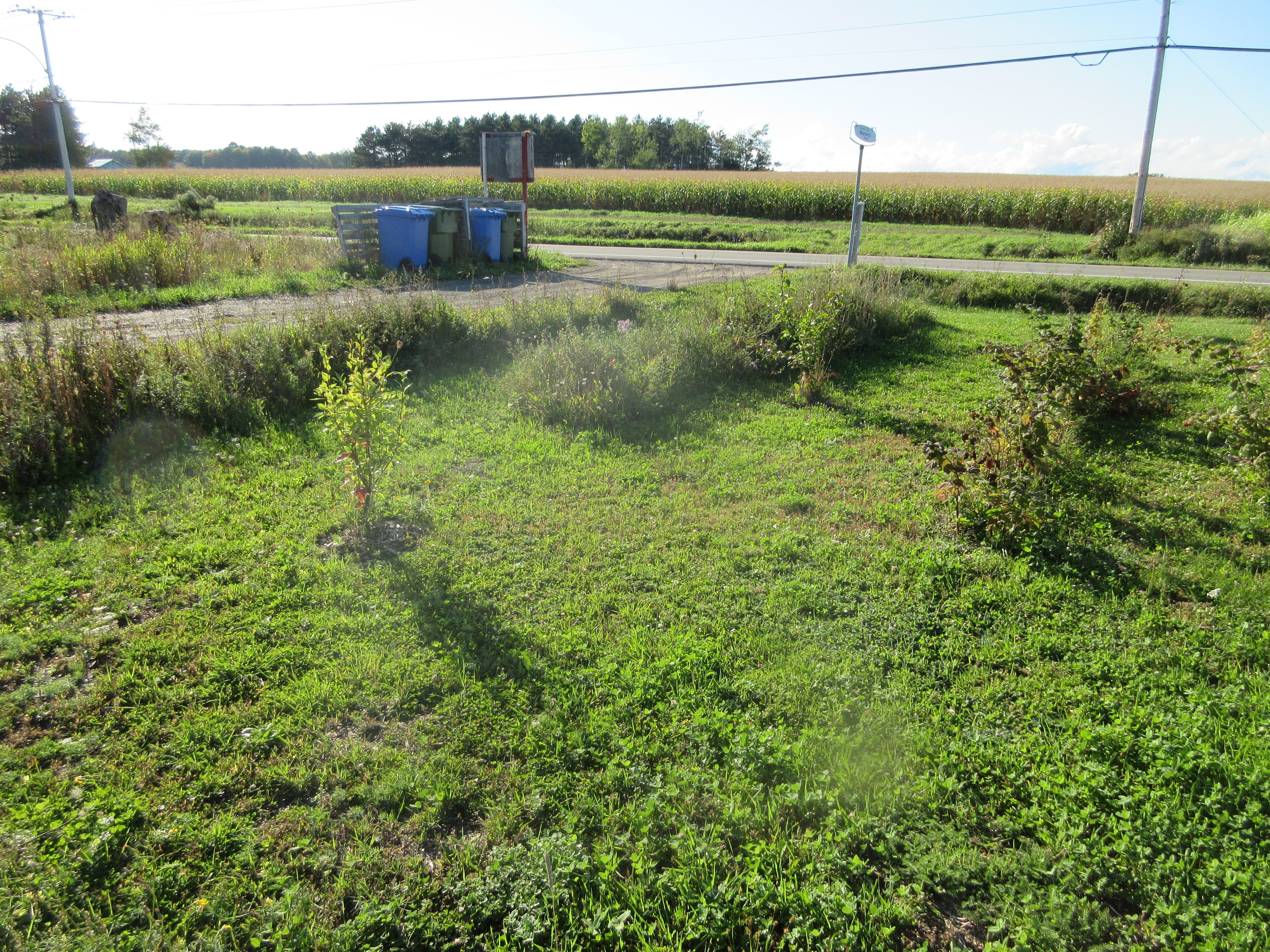Time Experimental Martian Garden Takes Root In Quebec