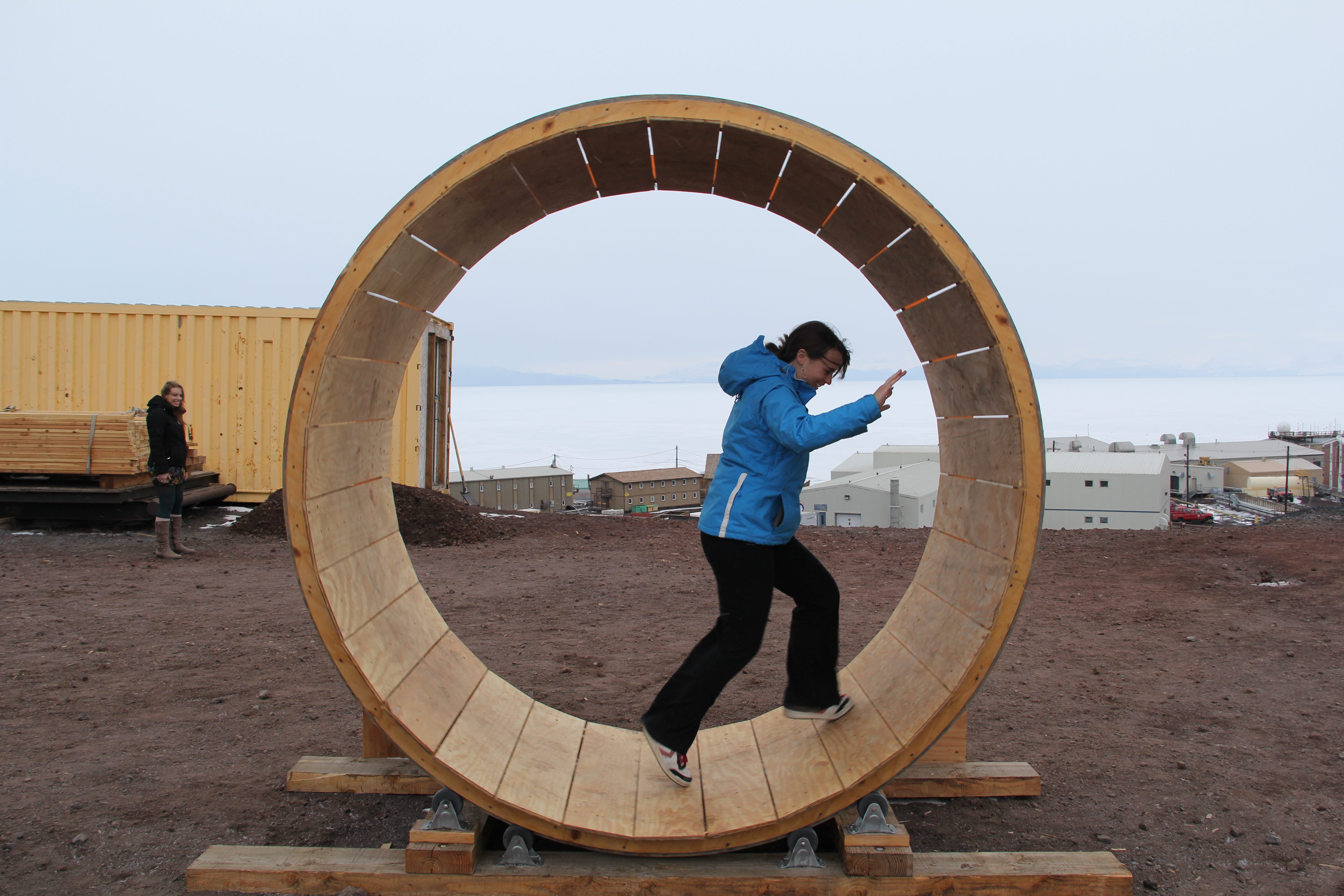 hamster running on wheel