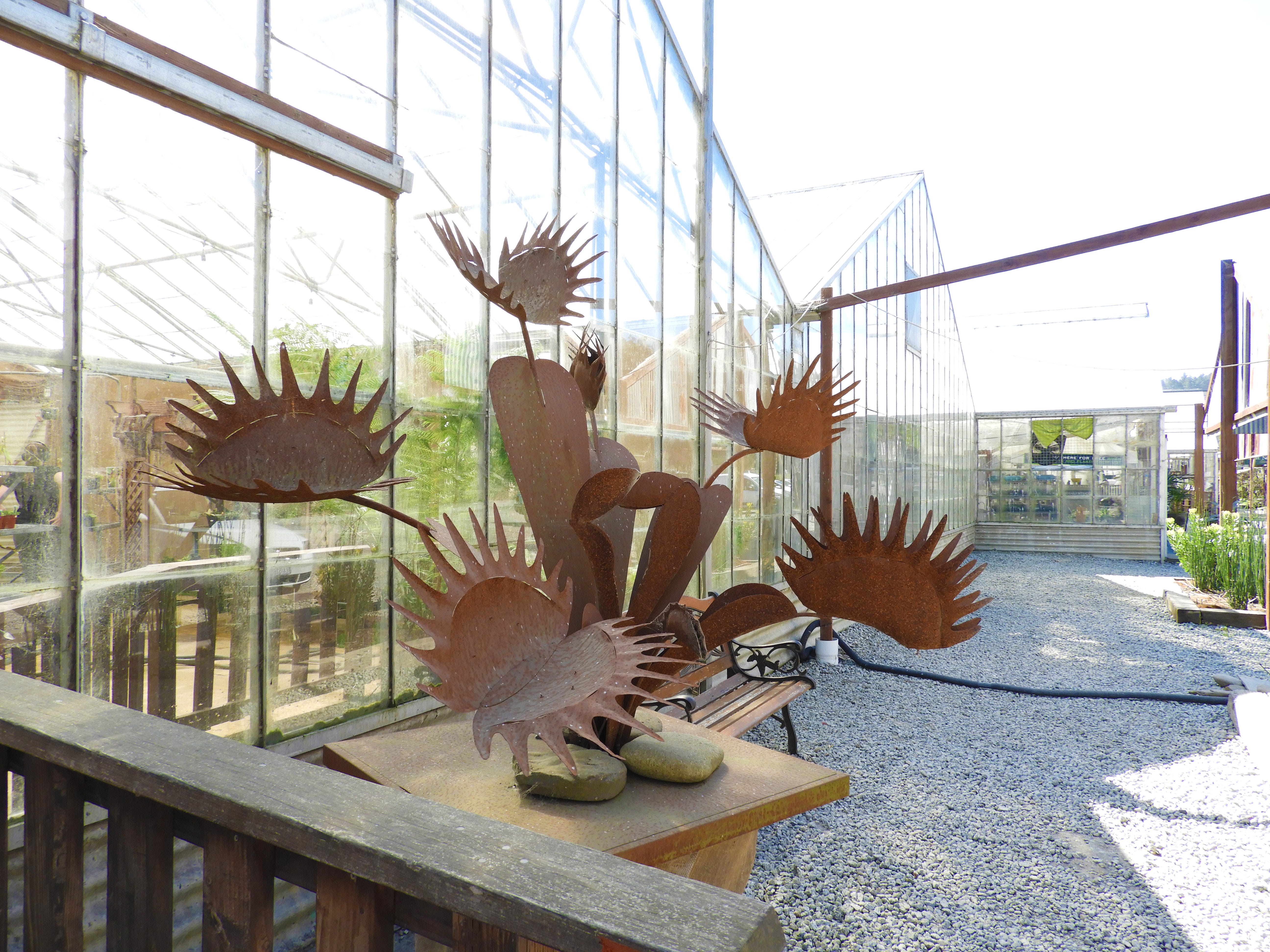 Take a break from the Coronaverse via a tour of Half Moon