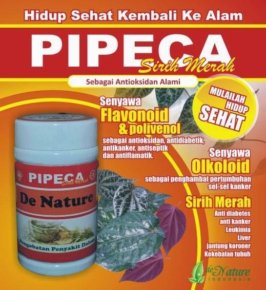 Obat Kencing Manis Yang Aman Tanpa Efek Samping Website