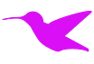 The Hmmingbird
