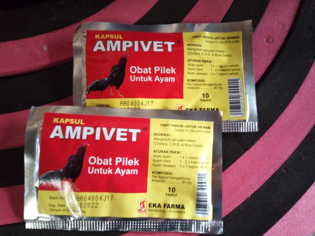 Wa O85 227 9o2o2o Terkini Tempat Order Cara Alami Mengobati Anak