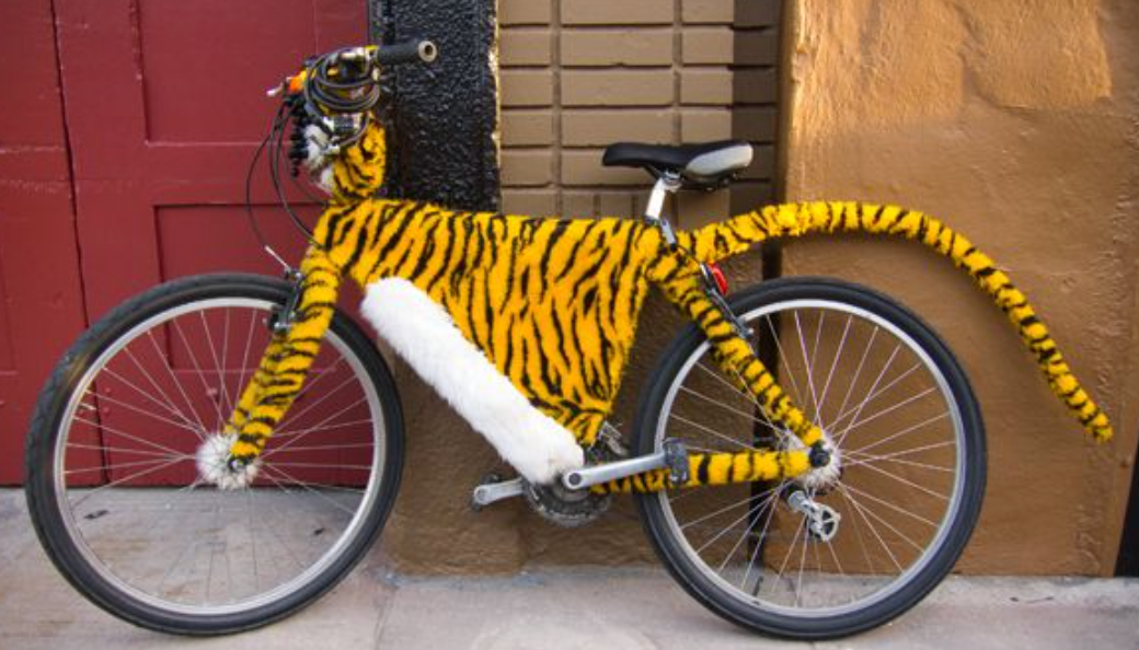 Teaching a computer the difference between a tiger