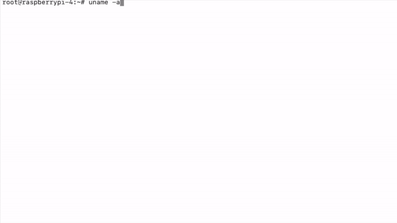 Wasmer screen shot