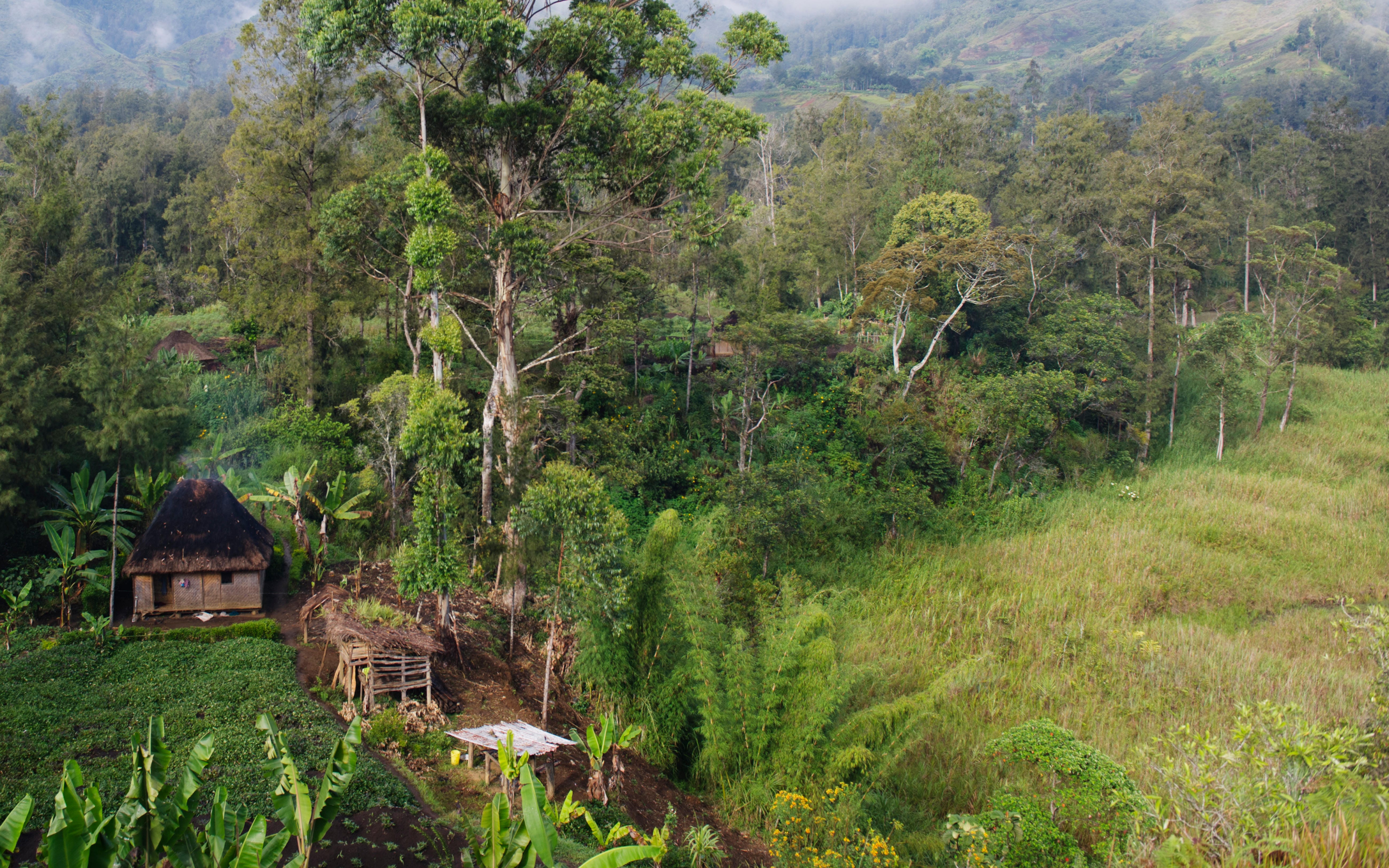 Papua New Guinea Renewable Energy
