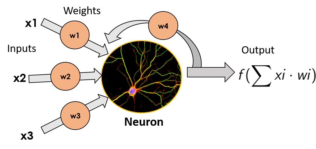 lstm explained youtube