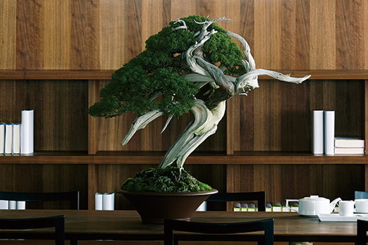 如何營造最高級的 禪 生活 家 日本盆景與家的關係 Westbank Taiwan 如何營造最高級的 禪 生活 家 日本盆景與家的關係 Westbank Taiwan