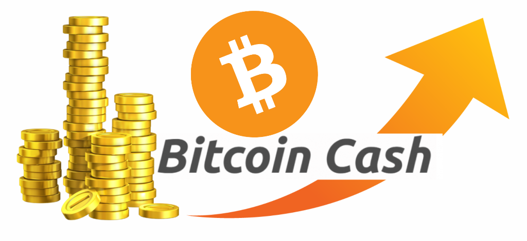 Image result for bitcoin cash