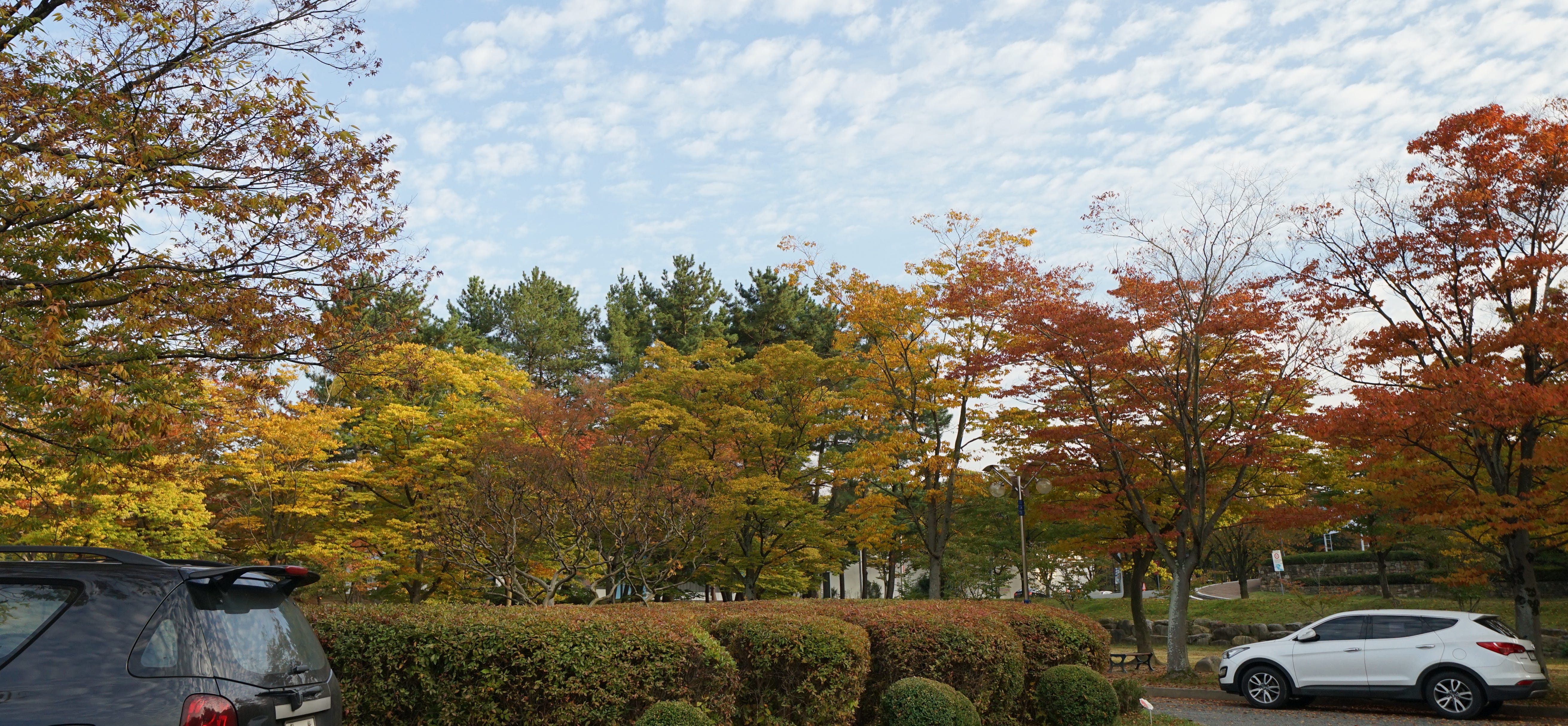 Woman in Gyeongju