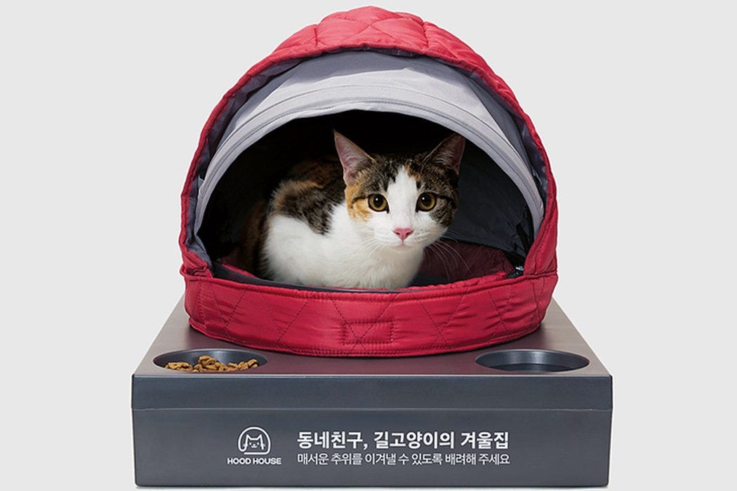 Portable Pet Cribs Make A Home For Stray Cats On The Cold Streets