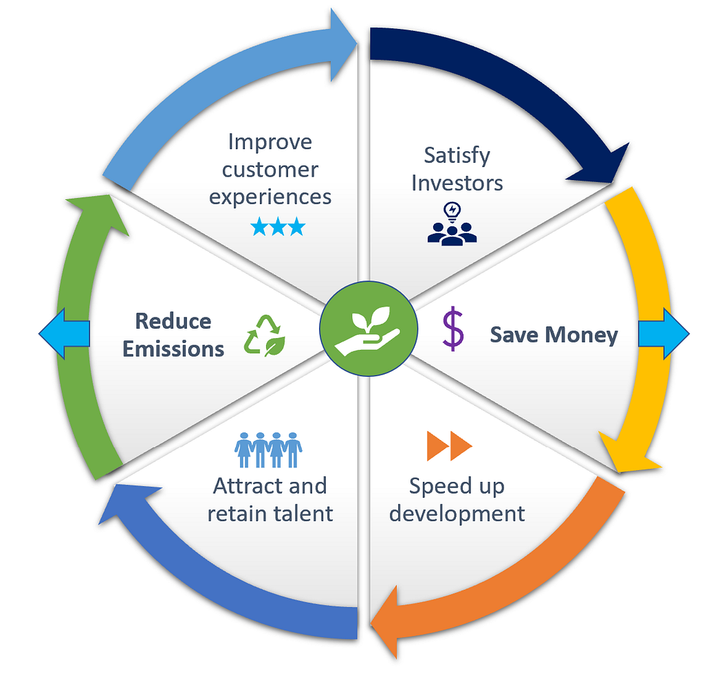 Sustainability  CEO Perspective