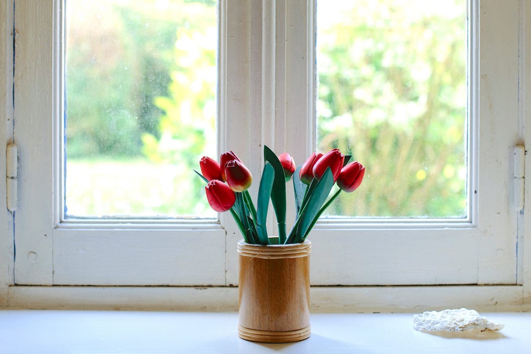 A brown pot of red tulips sits indoors by the centre of a window with no curtains. The scene is lit by natural daylight, and unfocused backyard foliage is showing through the window pane.