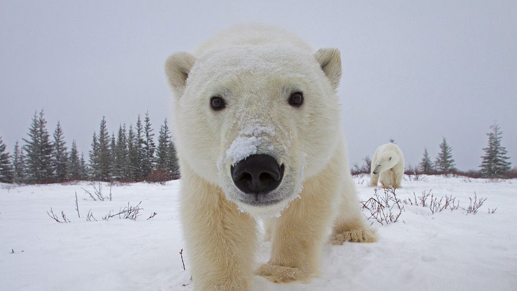 Churchill, Manitoba