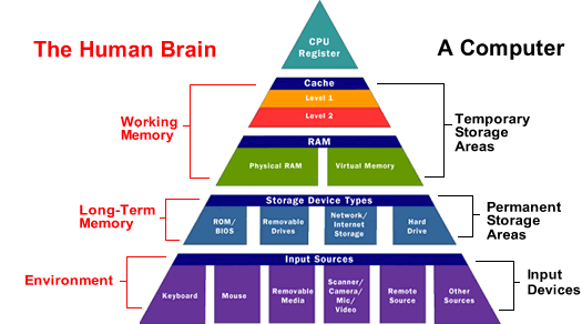 Computer vs Brain. Analogy | by Chesway Theway | Designerd | Medium
