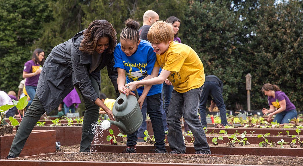 7 Small Grants For Your Nonprofit S Garden Horticulture Programs
