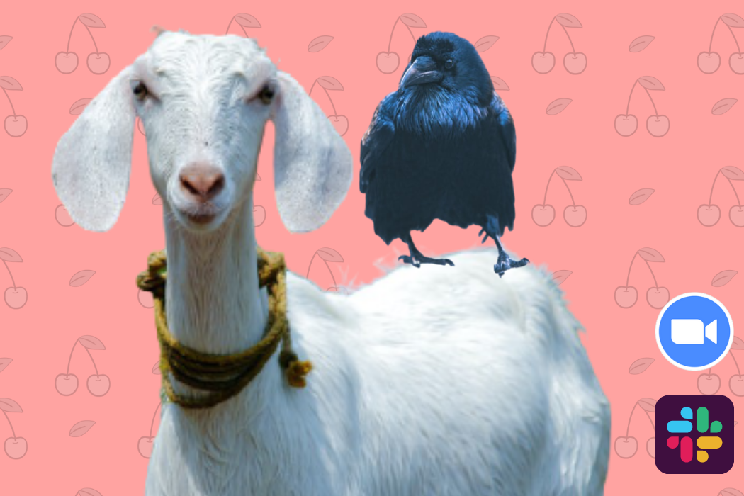 How to Make Your Zoom Calls Fun and More Efficient by Maria