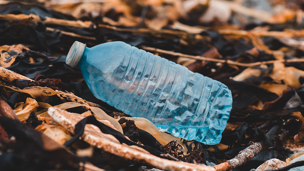 Problema plasticului: despre impact și toxicitate | by Alexandra Văsii |  go_earthfluence | Medium