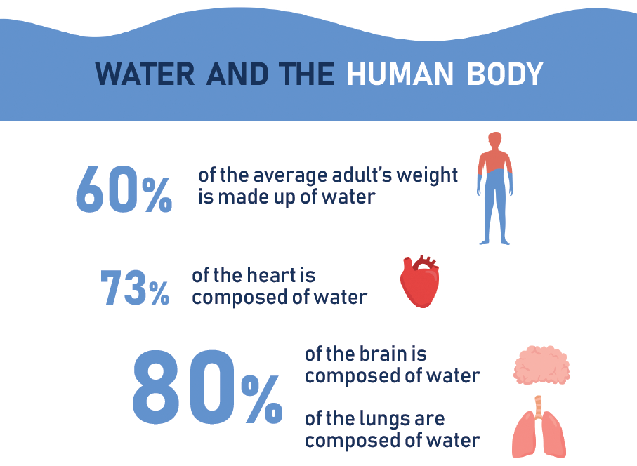 Club Dezam git Re nvia Role Of Water In The Body Circumferin 