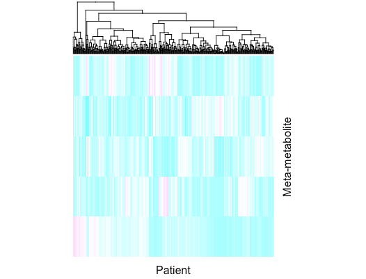 NMF decomposition heatmap. Each column is a single patient, and each row is a meta-metabolite, a combination of multiple metabolites and proteins.