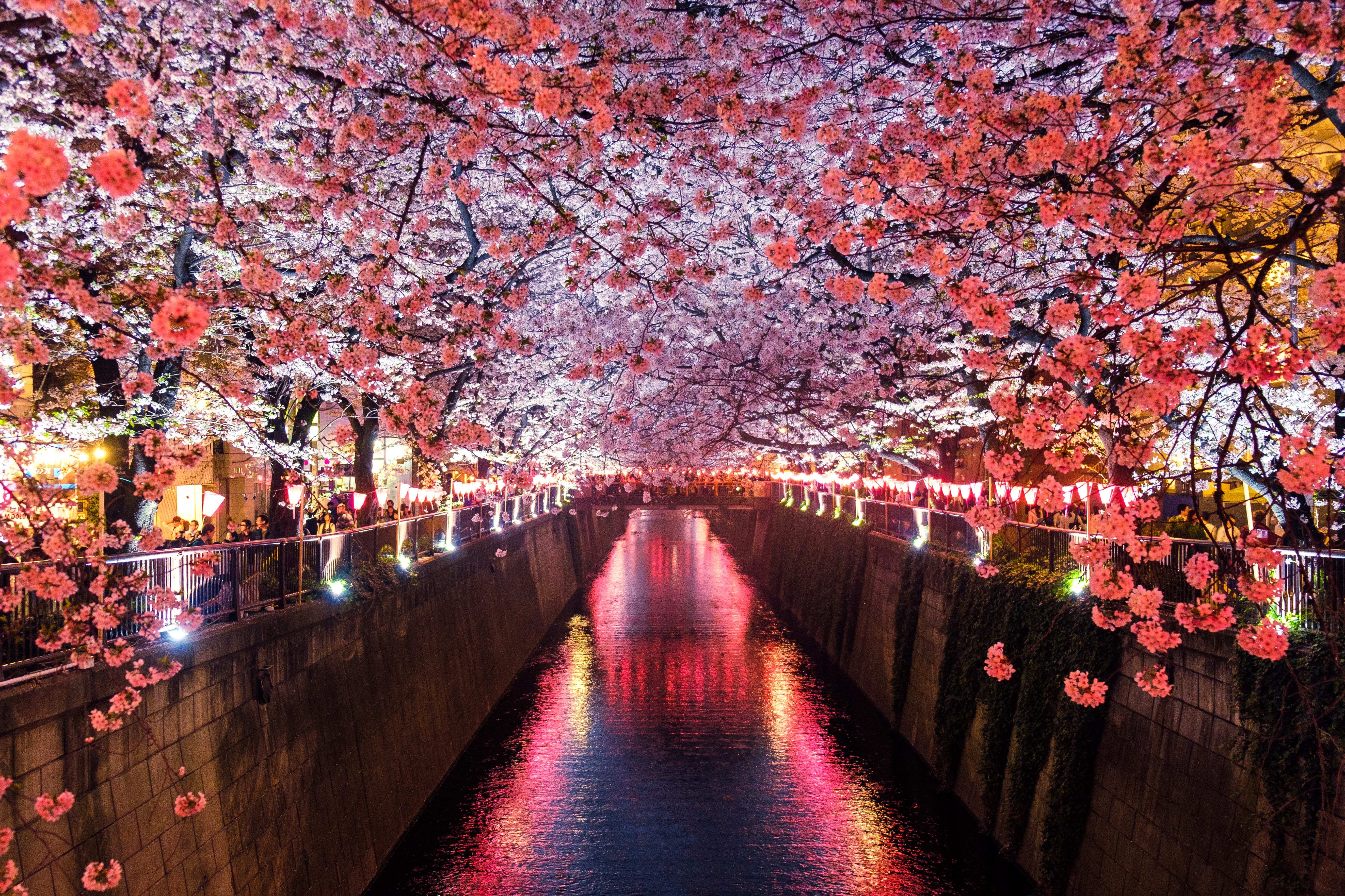 Wanna Party Like It S 999 Read The Pillow Book Of Sei Shonagon