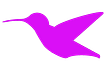 The Hmmingbird