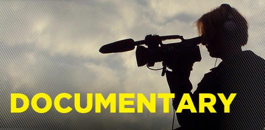 Image result for documentary modes