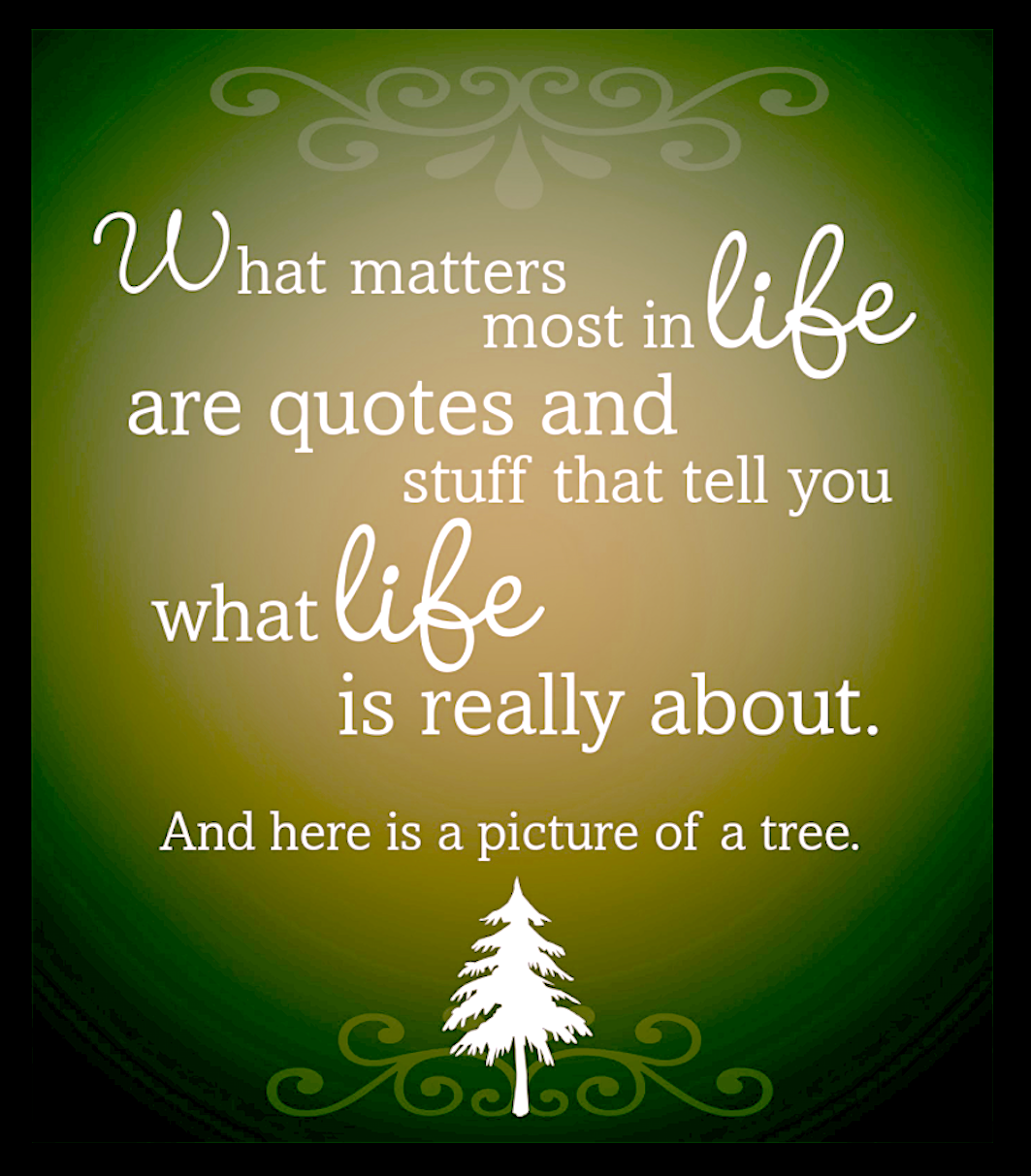 Curtain Call Forwarding Danielle Fenton Medium