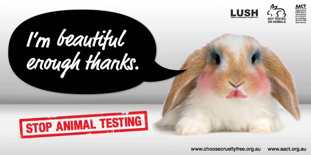 Testing Cosmetics on Animals. The practice of testing cosmetics on