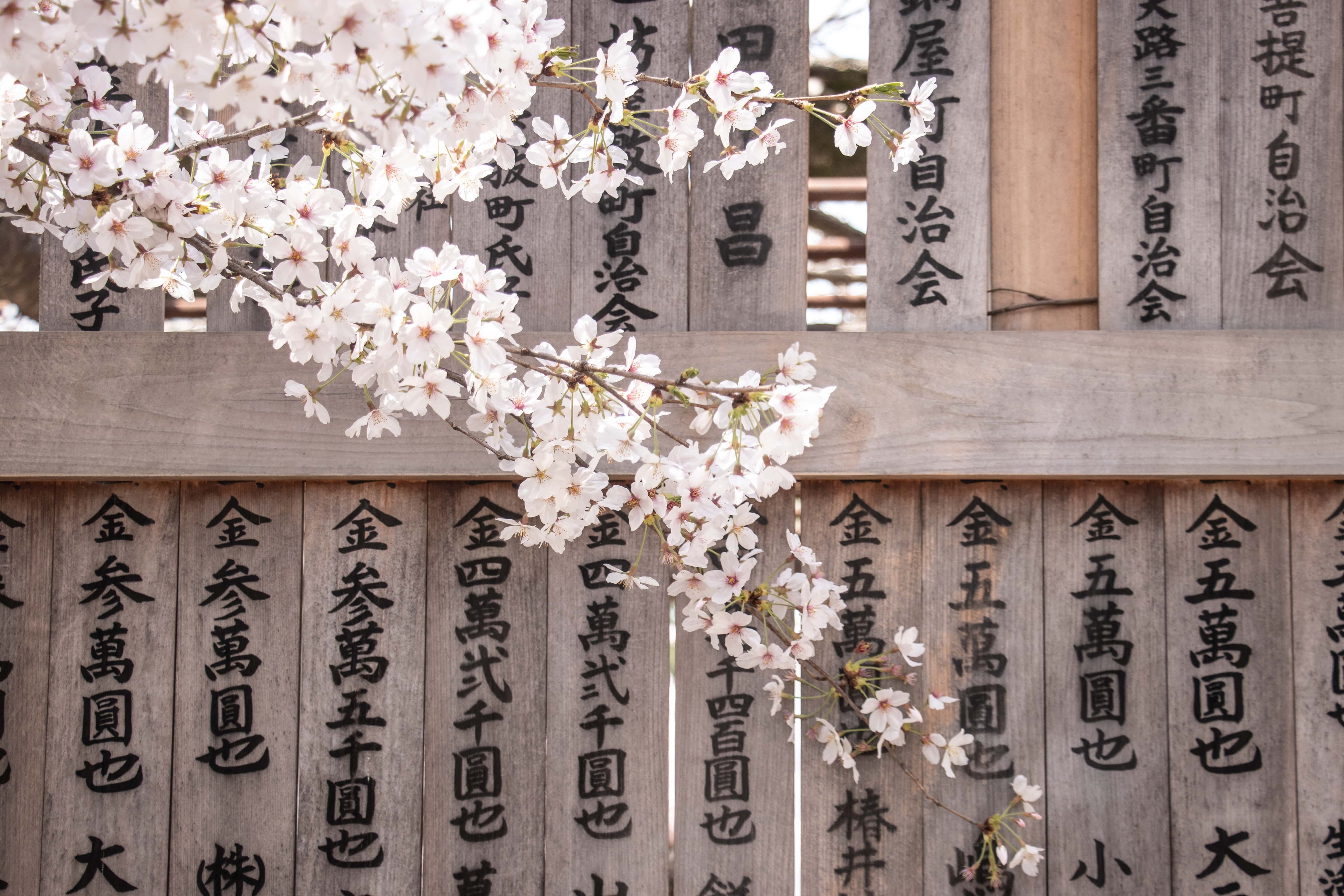 About Japan 2 When We Travel We Re More Open To The By Angela Compagnone Medium