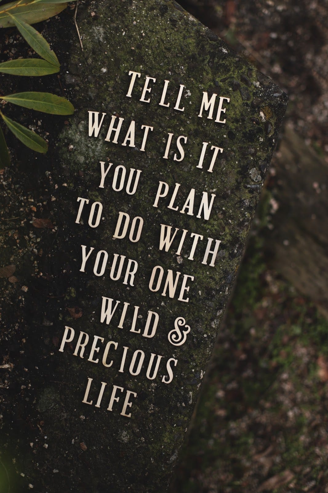 how-much-time-do-we-have-left-it-s-a-scary-question-for-most-of-us