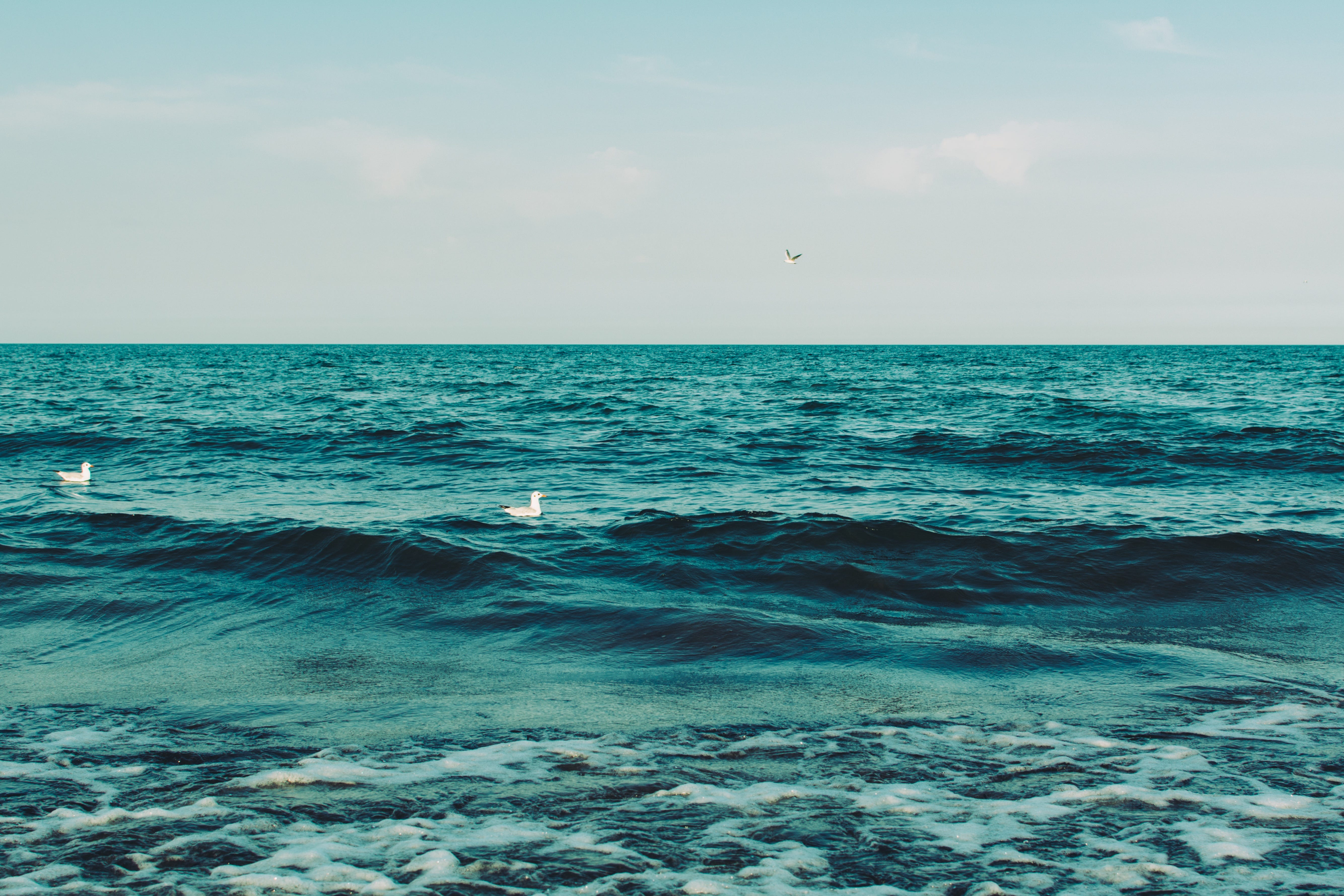 3 Things I Learned From A Man Who Was Lost At Sea By Mikedariano 3 Things I Learned Medium 3 Things I Learned From A Man Who Was Lost At Sea By Mikedariano 3 Things I Learned Medium