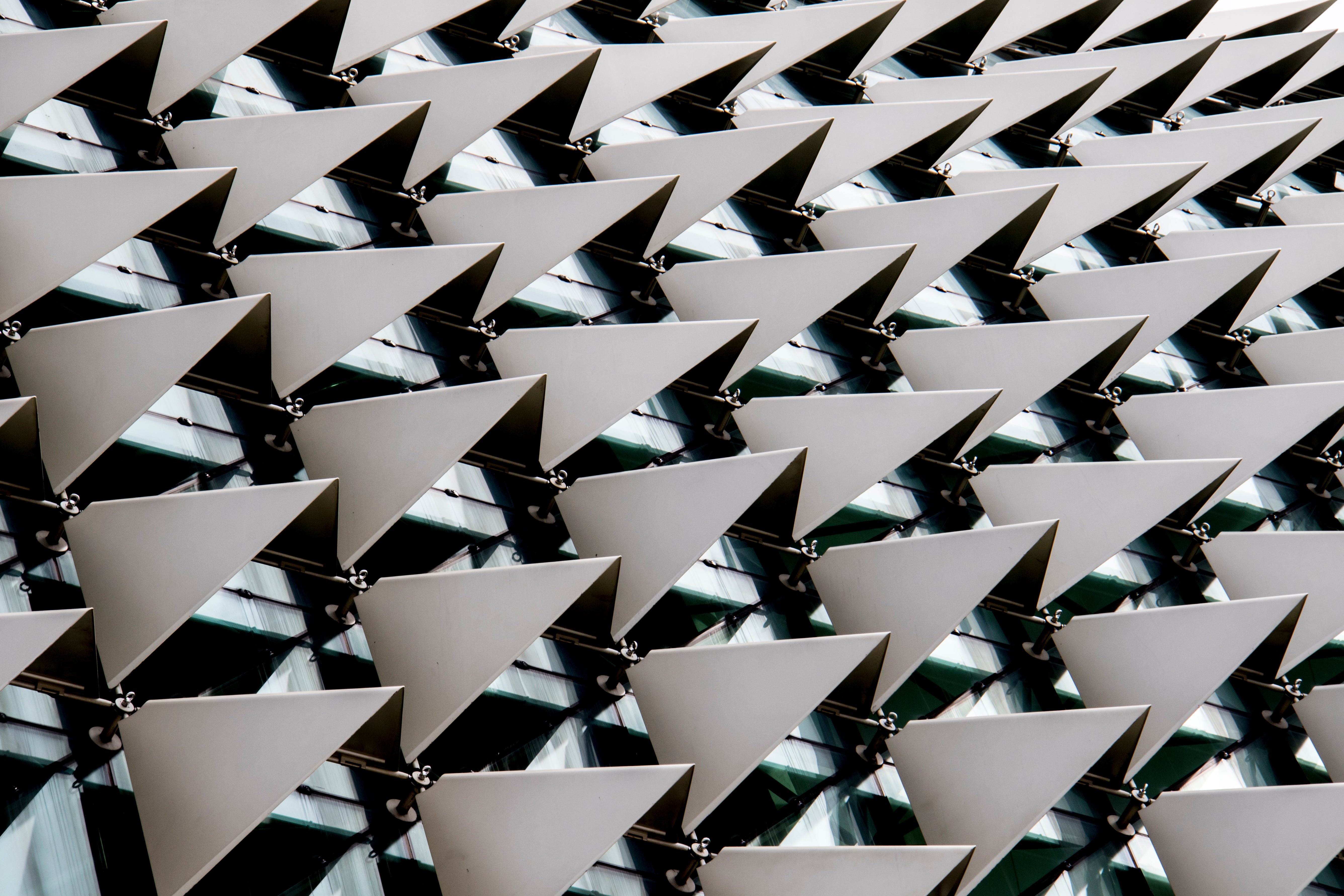 Curiosity-Based Thinking for Biomimicry | Age of Awareness