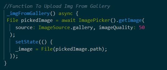 Take a Picture from Gallery & Camera in Flutter Apps | by Anamta Khan ...