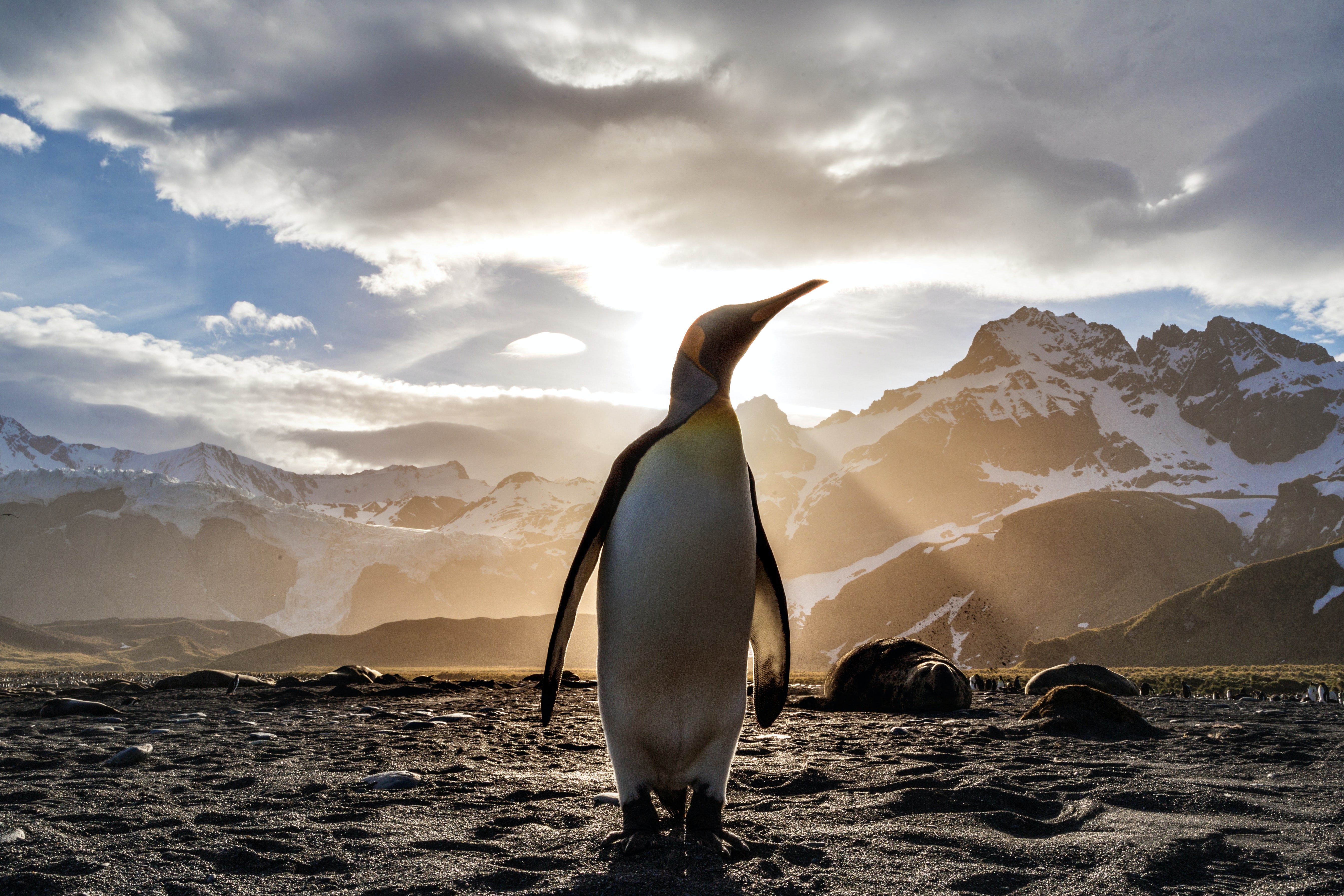 The New Kid On The Statistics In Python Block Pingouin By Eryk Lewinson Towards Data Science The New Kid On The Statistics In Python Block Pingouin By Eryk Lewinson Towards Data Science