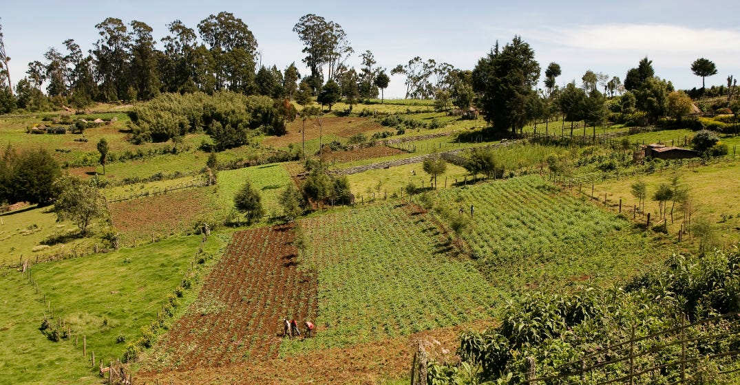 Interrelated Problems And Comprehensive Solutions For Venture Capital In African Agribusiness By Vestedworld Medium
