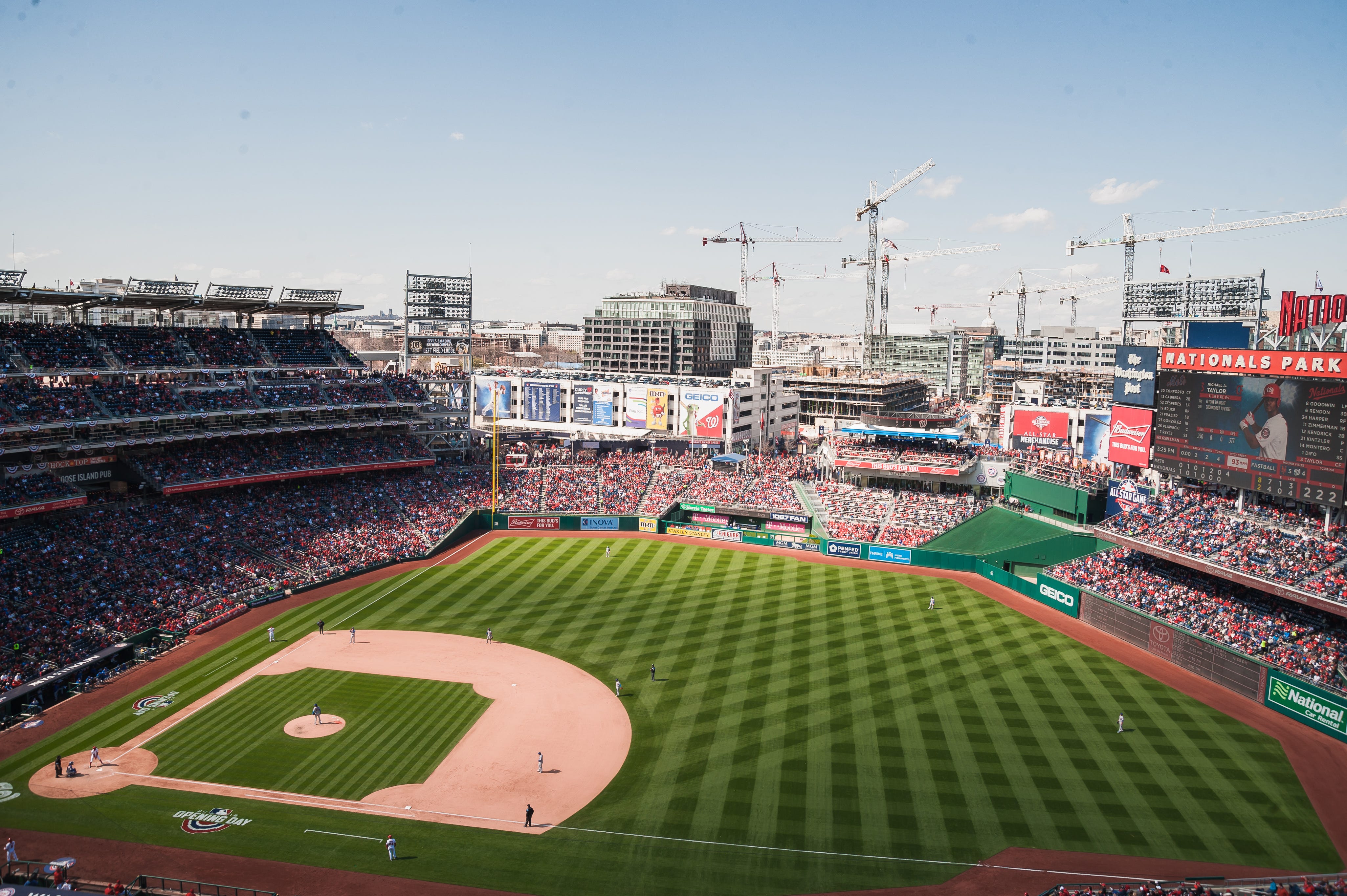 washington nationals fan store